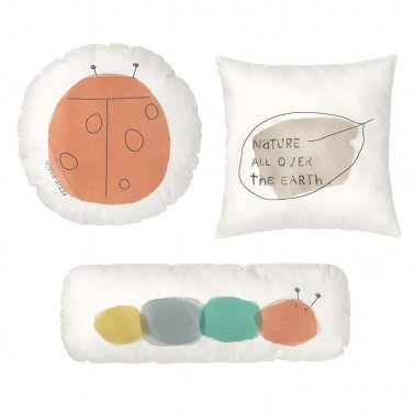 ▷ Pack Nature de Petit Praia -