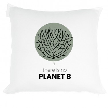 Cojin Planet