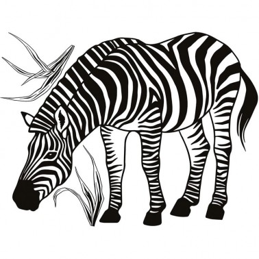 Vinilo Zebra