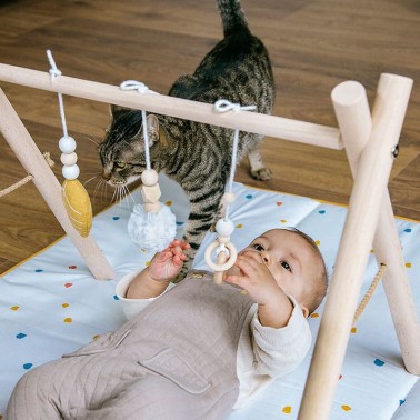 Gimnasio de juegos Baby Hop