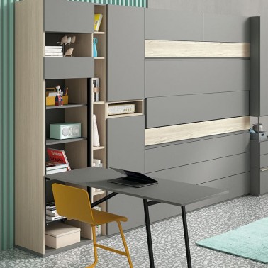 Armario libreria con mesa abatible